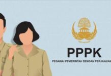 Penjelasan Profesi PPPK: Mulai dari Tugas, Gaji, hingga Syarat