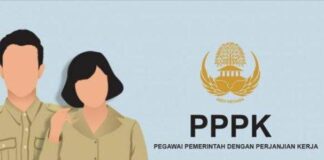 Penjelasan Profesi PPPK: Mulai dari Tugas, Gaji, hingga Syarat
